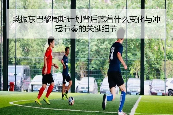 樊振东巴黎周期计划背后藏着什么变化与冲冠节奏的关键细节